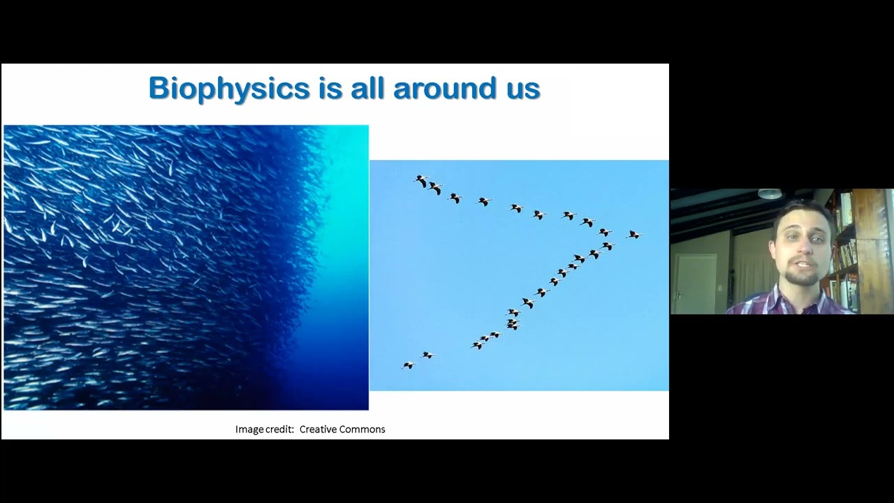 Introduction to Biophysics (1/2)
