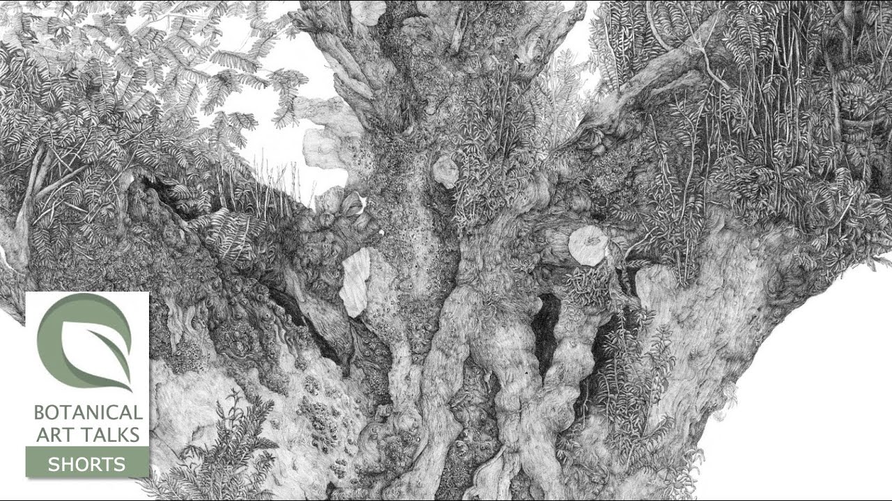 THE BLACK AND WHITE OF COLOUR - Guy Eves (Botanical Art Talk extract)