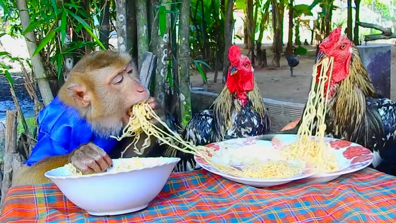 Top Eating Show ! SokYaa & ToTo Challenge Eat Yellow Noodle