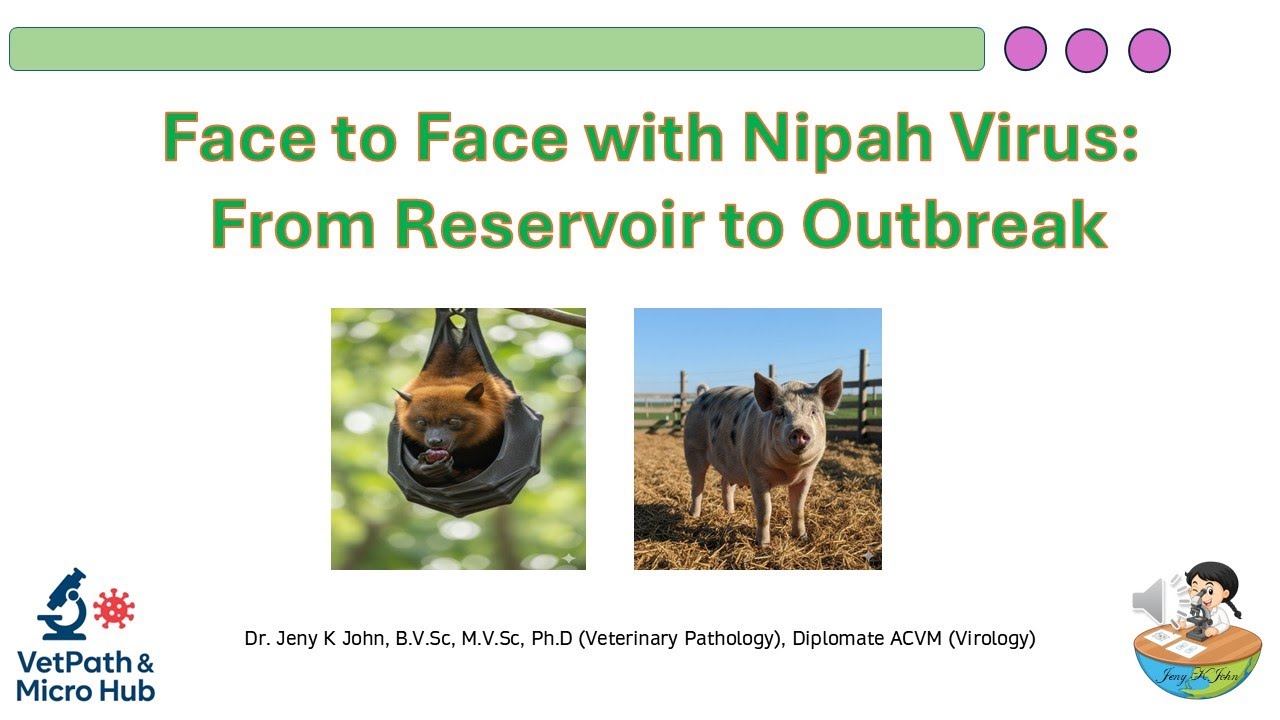 Face to Face with Nipah Virus: From Reservoir to Outbreak