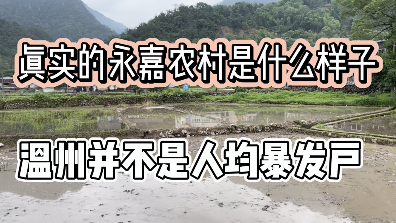 实地探访：温州永嘉的农村是什么样子，并不是每个温州人都拥有一家江南皮革厂