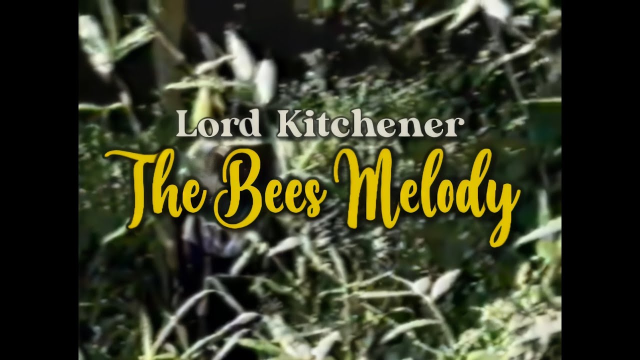 The Bees Melody (1992 Music Video) - Lord Kitchener