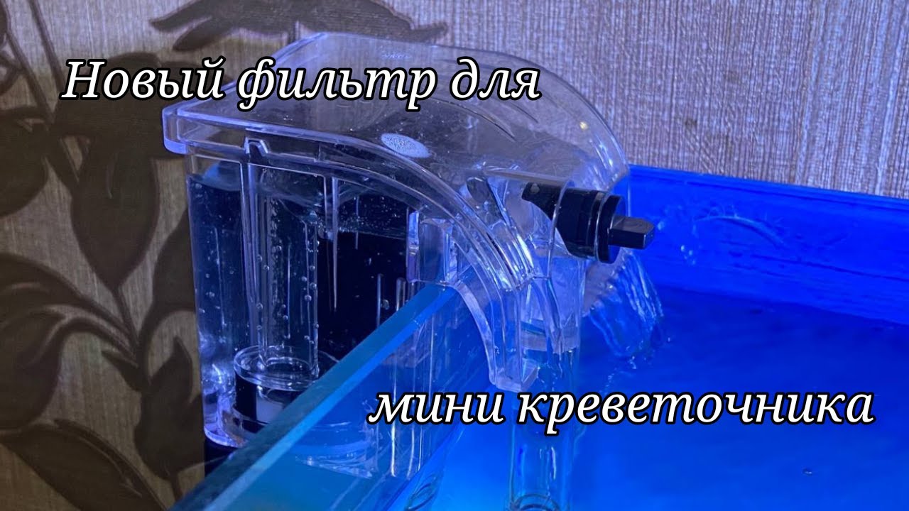 Новый фильтр для аквариума. Мини навесной фильтр для креветочника. Фильтр для мини креветочника.