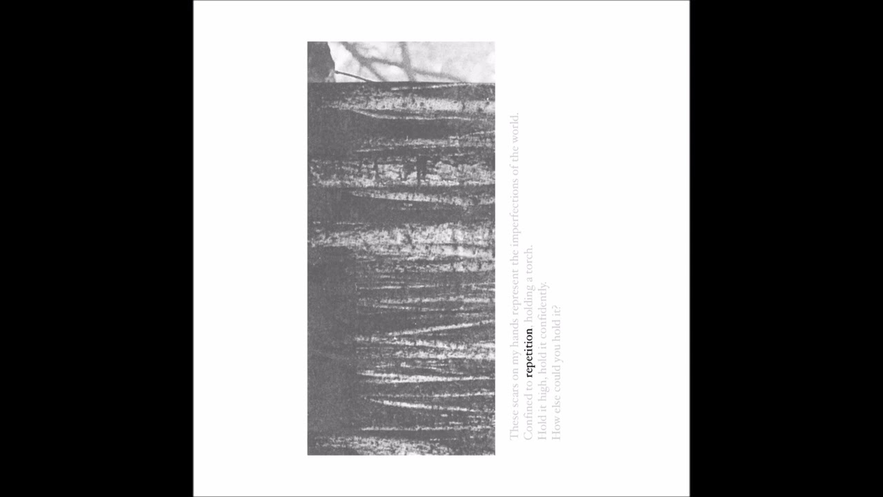 J. CARTER - The Repetition of Purity [2017 / Full Album]