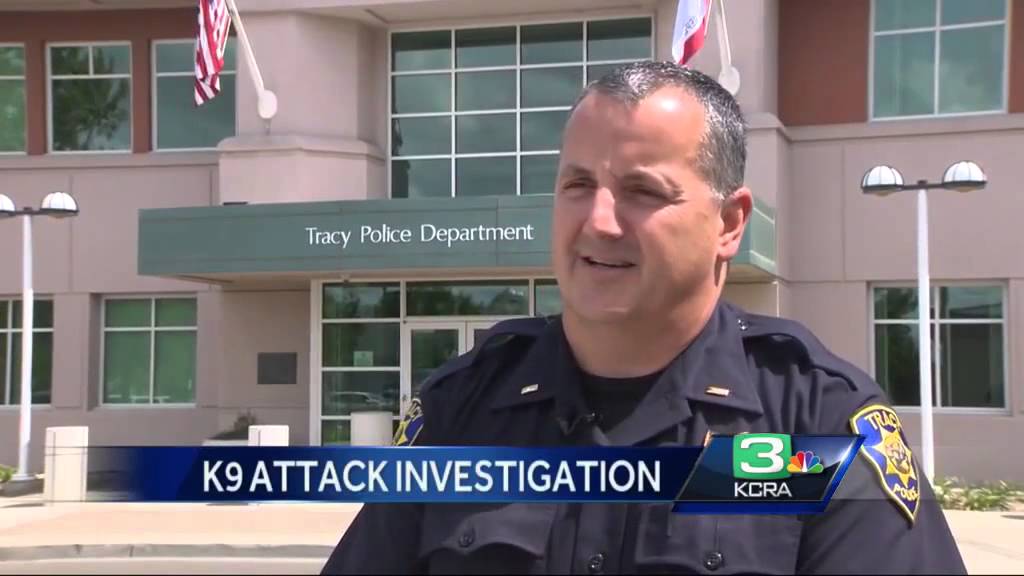 How was a police K-9 able to escape car, attack child?