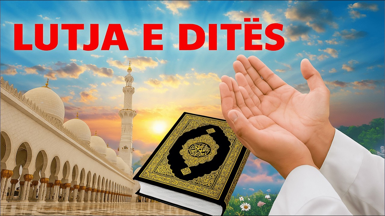 Lutja e ditës së martë