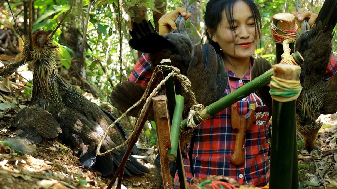 สาวดอยใช้หนังสติ๊กทำกับดักไก่ป่าสุดยอดมาก Hunting to trap wild chickens