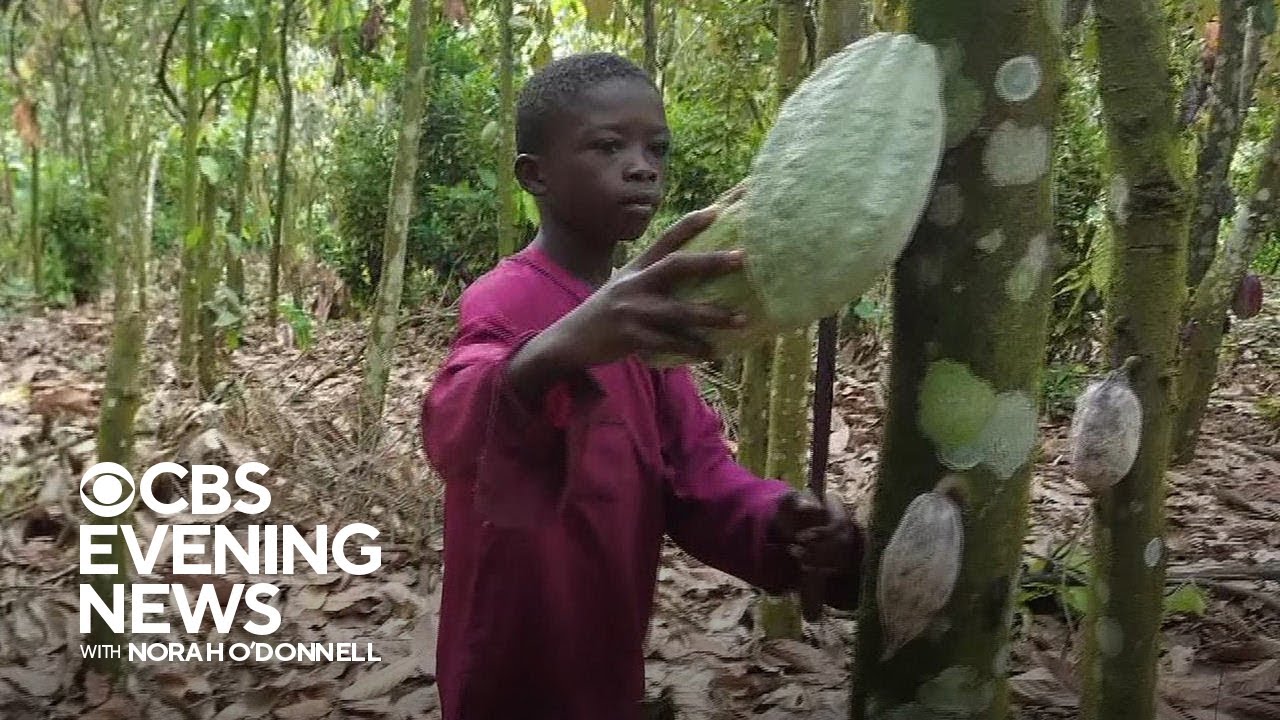 Candy company Mars uses cocoa harvested by kids in Ghana, CBS News investigation finds
