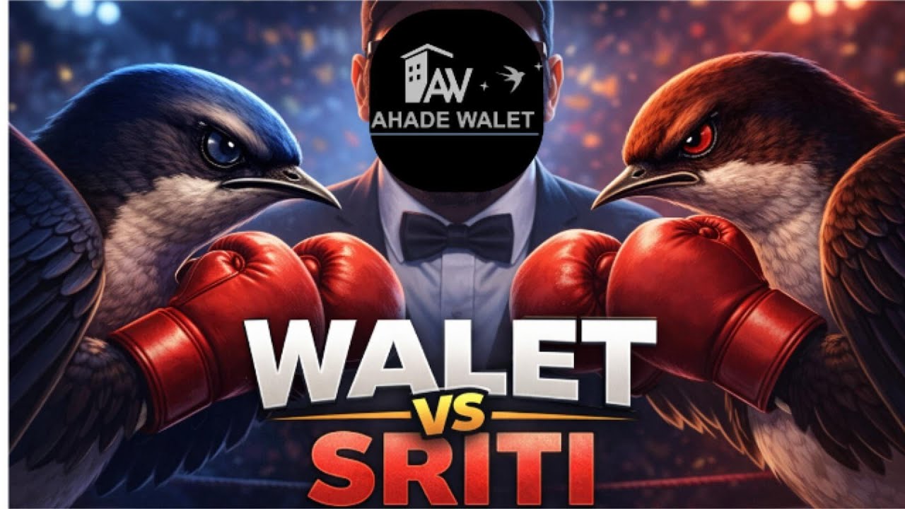 Ramai Tapi Gagal Panen Bisa Jadi Itu SRITI, Bukan Walet!