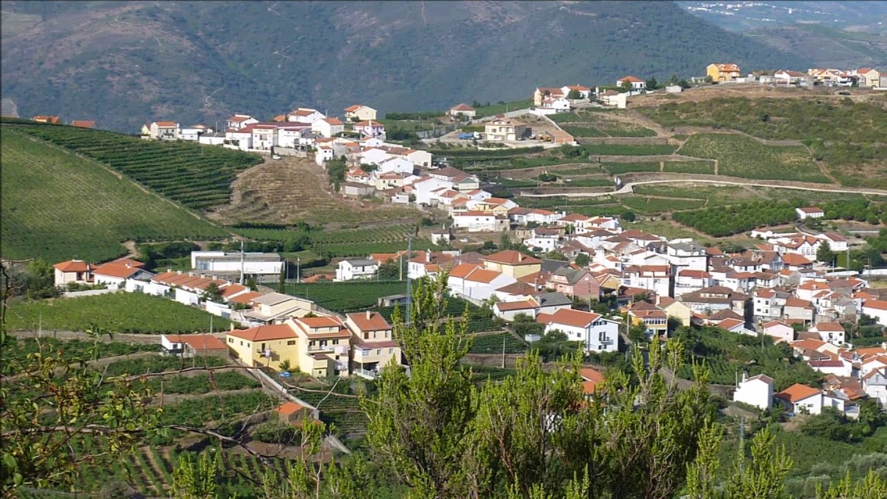 ERVEDOSA DO DOURO