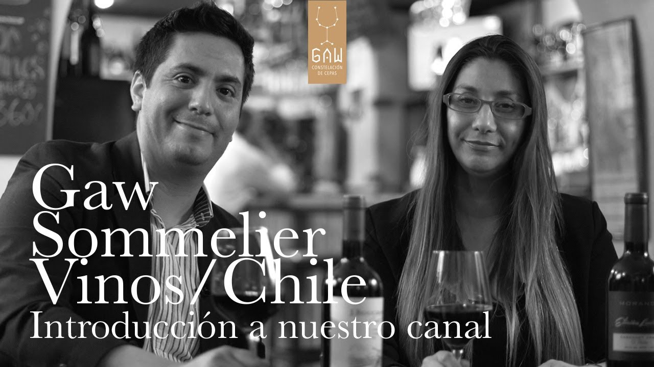 Aprende de Vinos Chilenos con Claudia y Gabriel, sommeliers de GAW Vinos