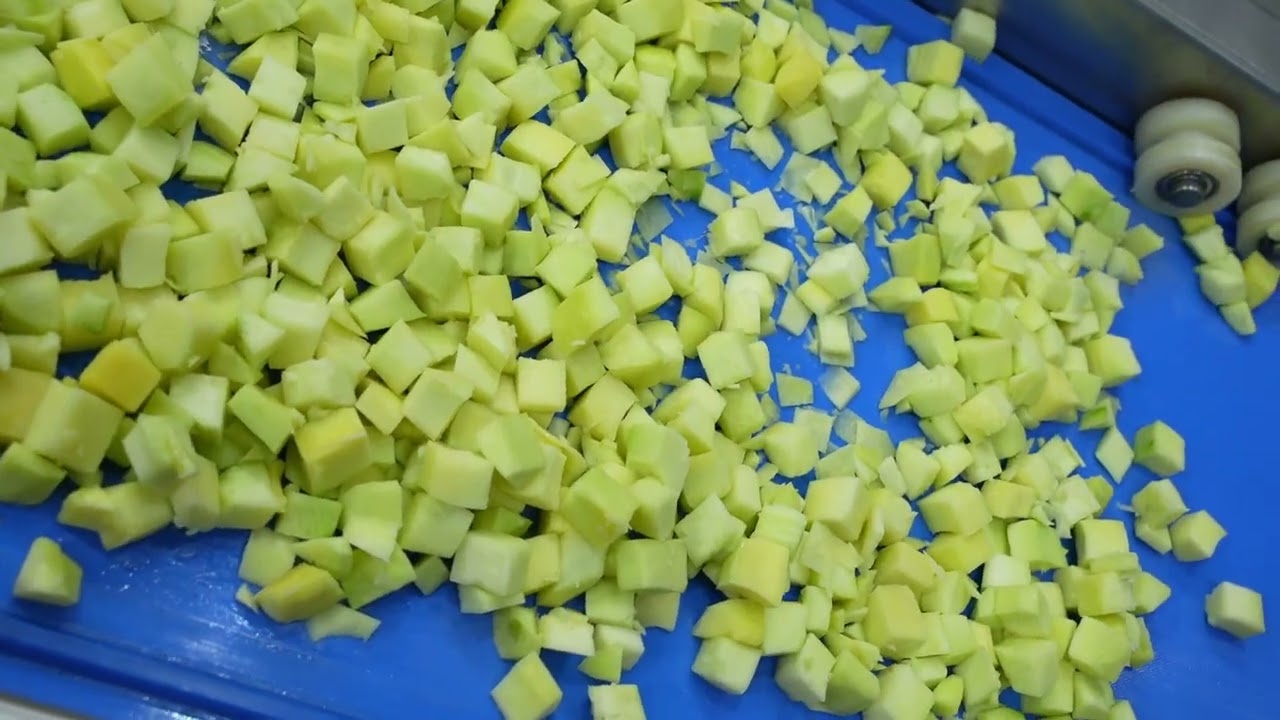Frozen Mango Diced Production Line