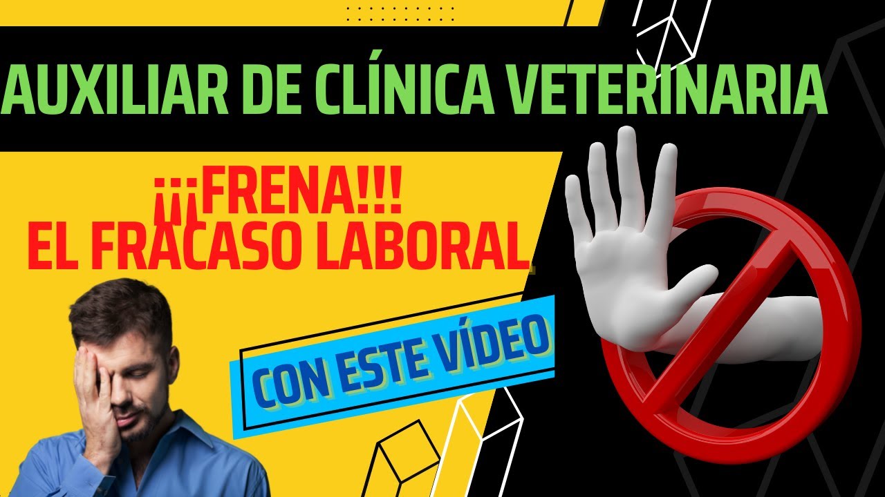 Por qué no te sirve estudiar solo auxiliar de veterinaria