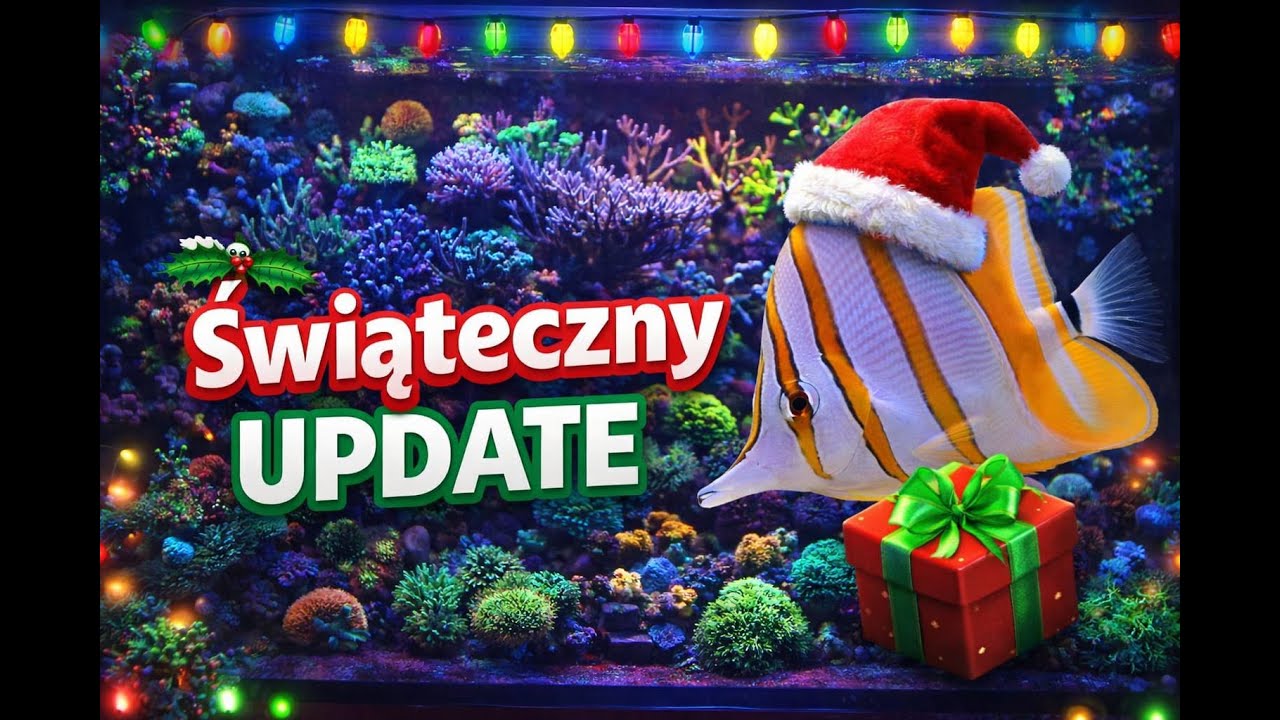 Aktualizacja  po świętach 