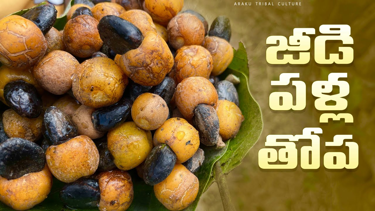 నల్లజీడితో తియ్యని వంట | Savory cooking with wild fruits | Tribal sweet recipe