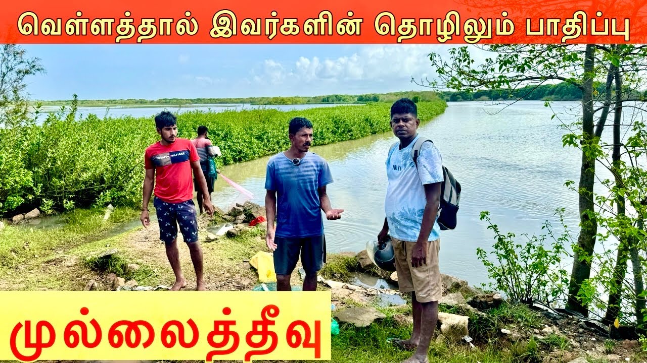 முல்லைத்தீவில் கிராமங்களுக்கு புகுந்த வெள்ளம் flood in mullaithivu Jaffna  youtubers | Tamil  Vlog