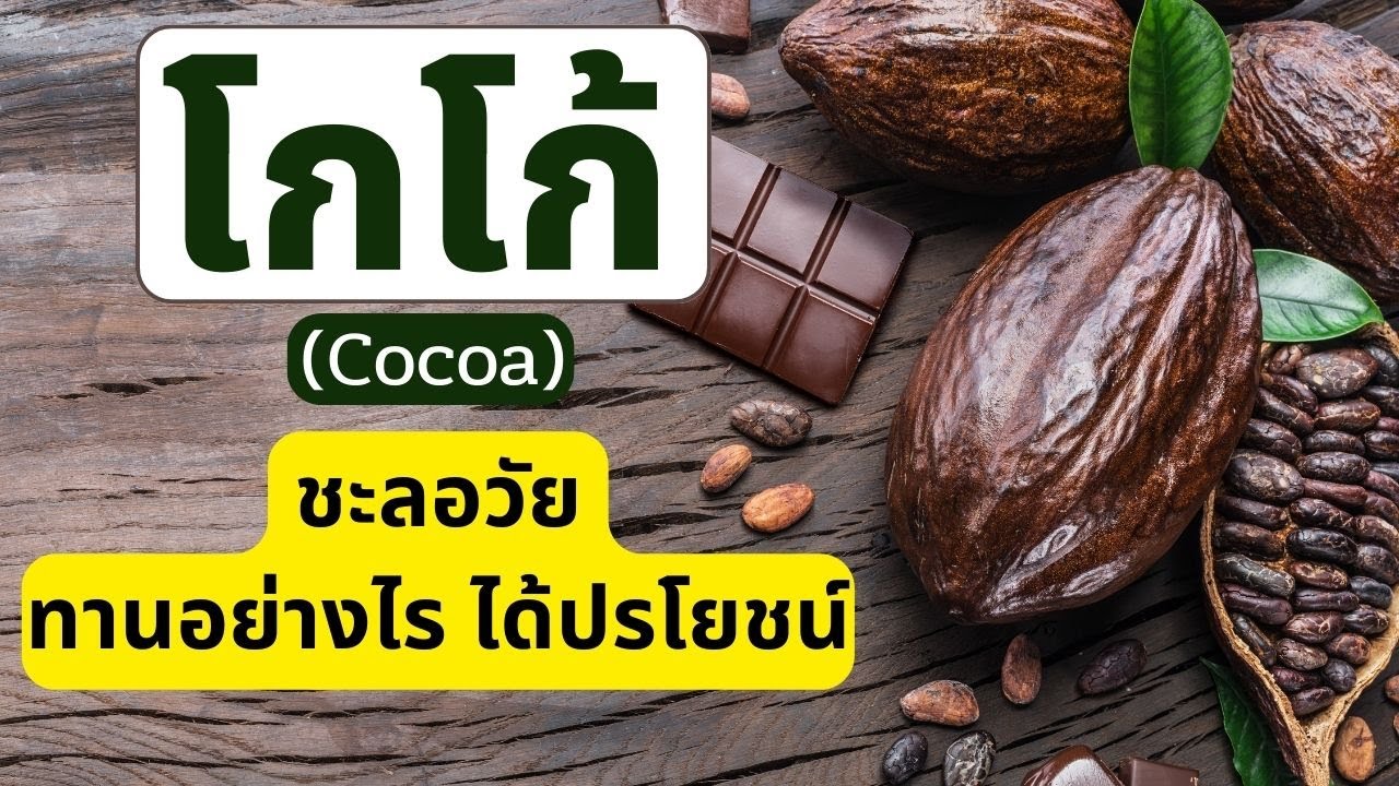 โกโก้ (Cocoa) ชะลอวัย ทานอย่างไรได้ประโยชน์  และ  5 คุณค่ามหัศจรรย์ ของ โกโก้