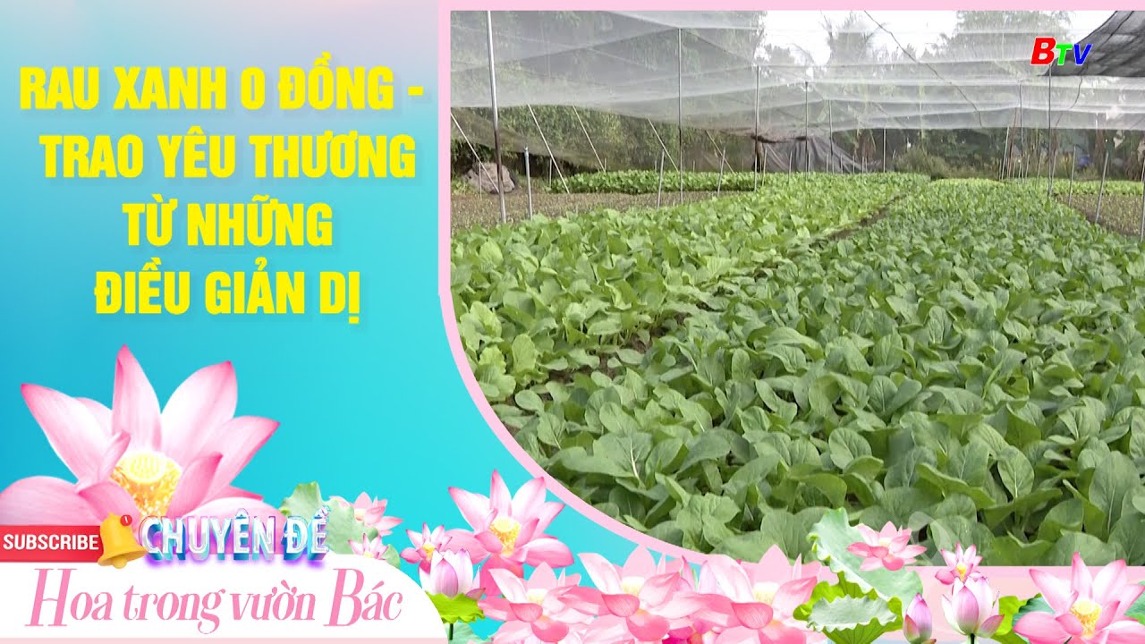 Rau xanh 0 đồng – Trao yêu thương từ những điều giản dị | Truyền hình Bình Dương