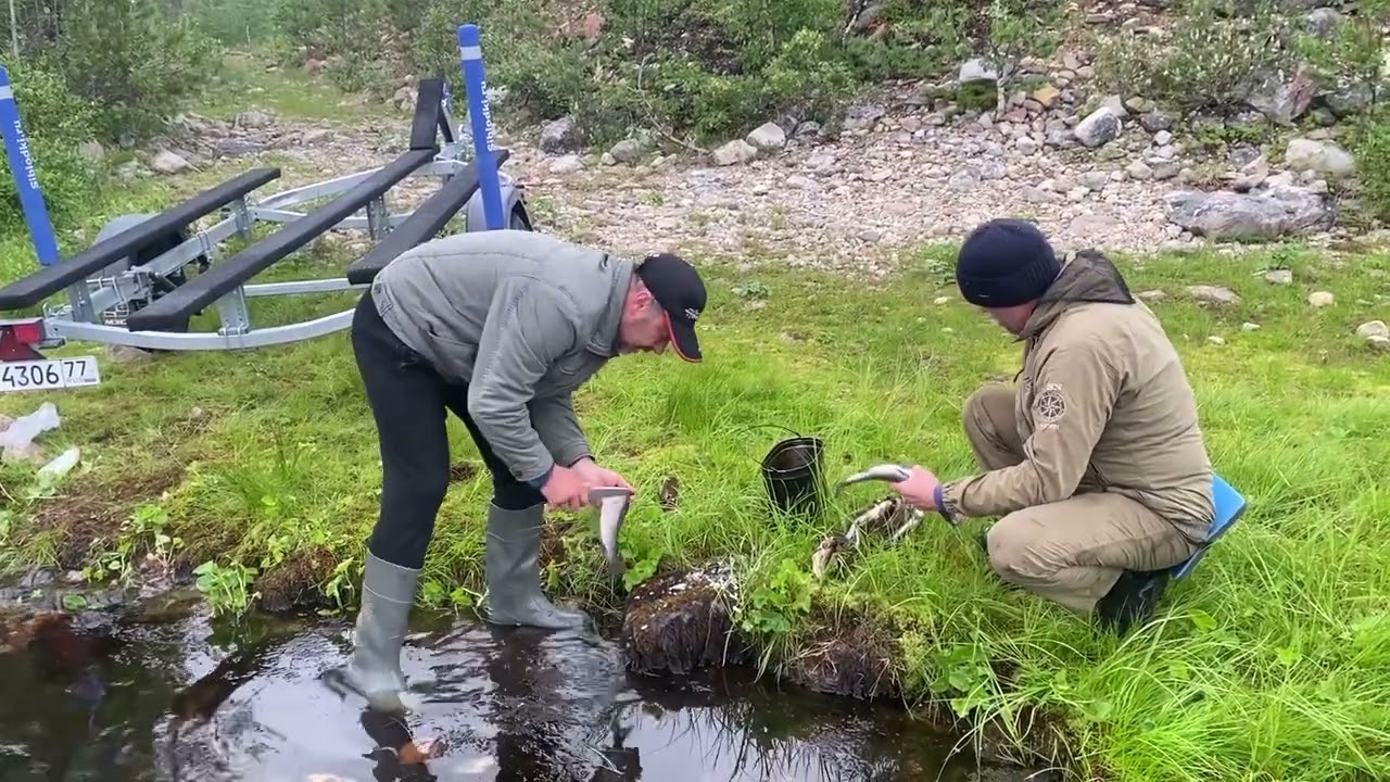 Водометное сафари по рекам Кольского ￼. Рыбалка.