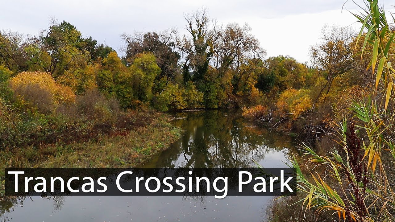 WALK WITH ME! | Trancas Crossing Park | Napa, California