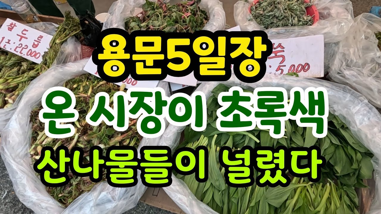 온갖 봄나물들이 시장에 널려 있으나 가격이 들쭉날쭉/용문5일장