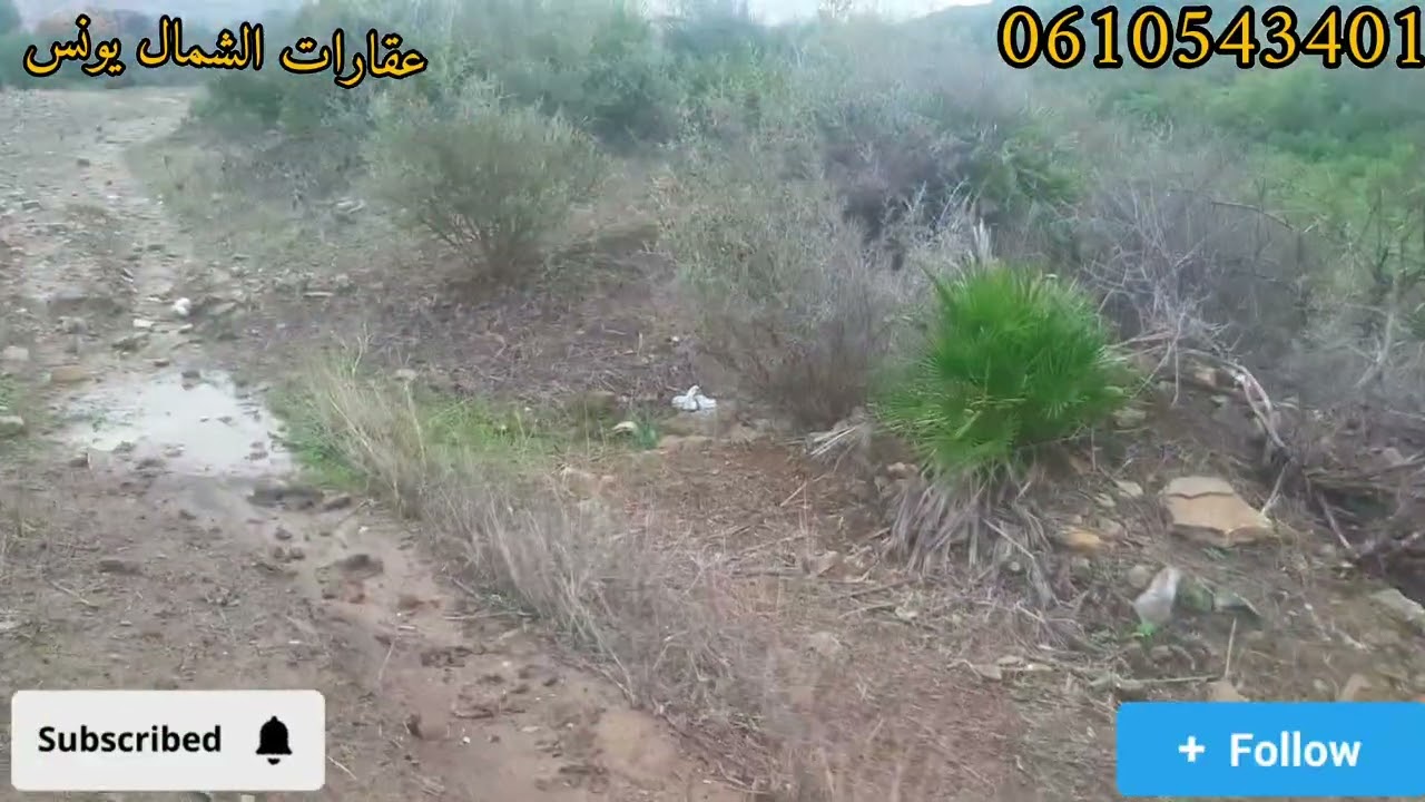 هوة🚨 عشاق البادية🏕 همزة مساحتها حوالي 700 متر🏞 طريق واصلا 🚗الضو واصلا تمن راءيع 🔥نواحي تطوان 13كلم 🌄