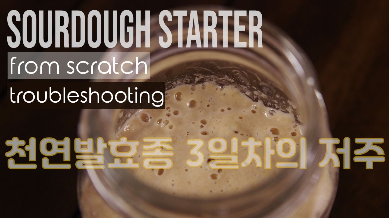 The new starter is unlikely to double forever? | 천연발효종 3일차의 저주 | ASMR baking