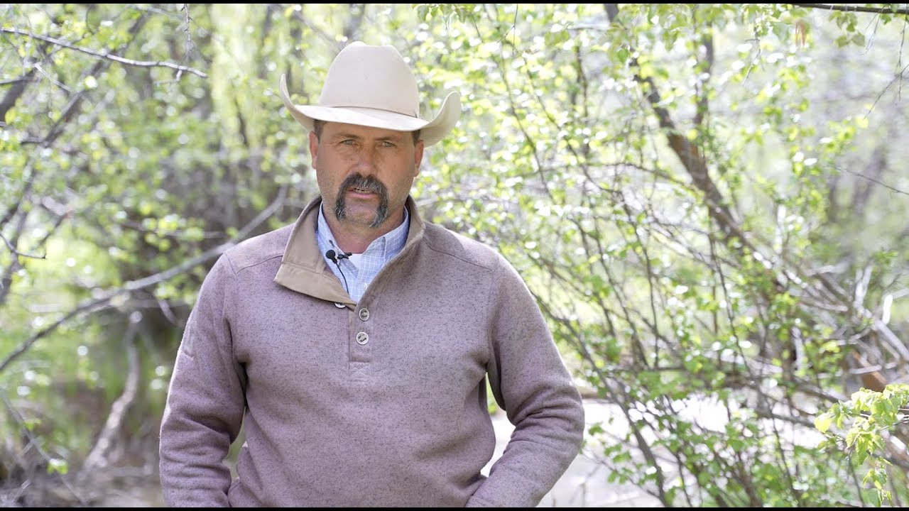 The Land Loves Us Back: Leaving a Legacy of Rural Restoration in Chalk Creek