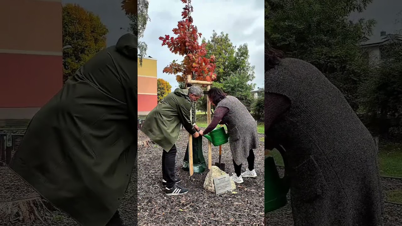 Baumpflanzchallenge des Landrates im Unstrut-Hainich-Kreis 2025
