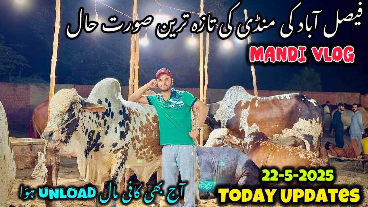 Faisalabad Mandi Today Updates 2025 | Mandi Full Hogai | Pakistan Bakra Mandi | Cow Mandi Vlog