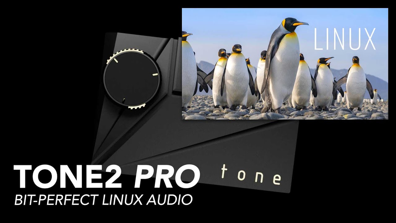 Tone2 Pro - Bit Perfect Linux Audio