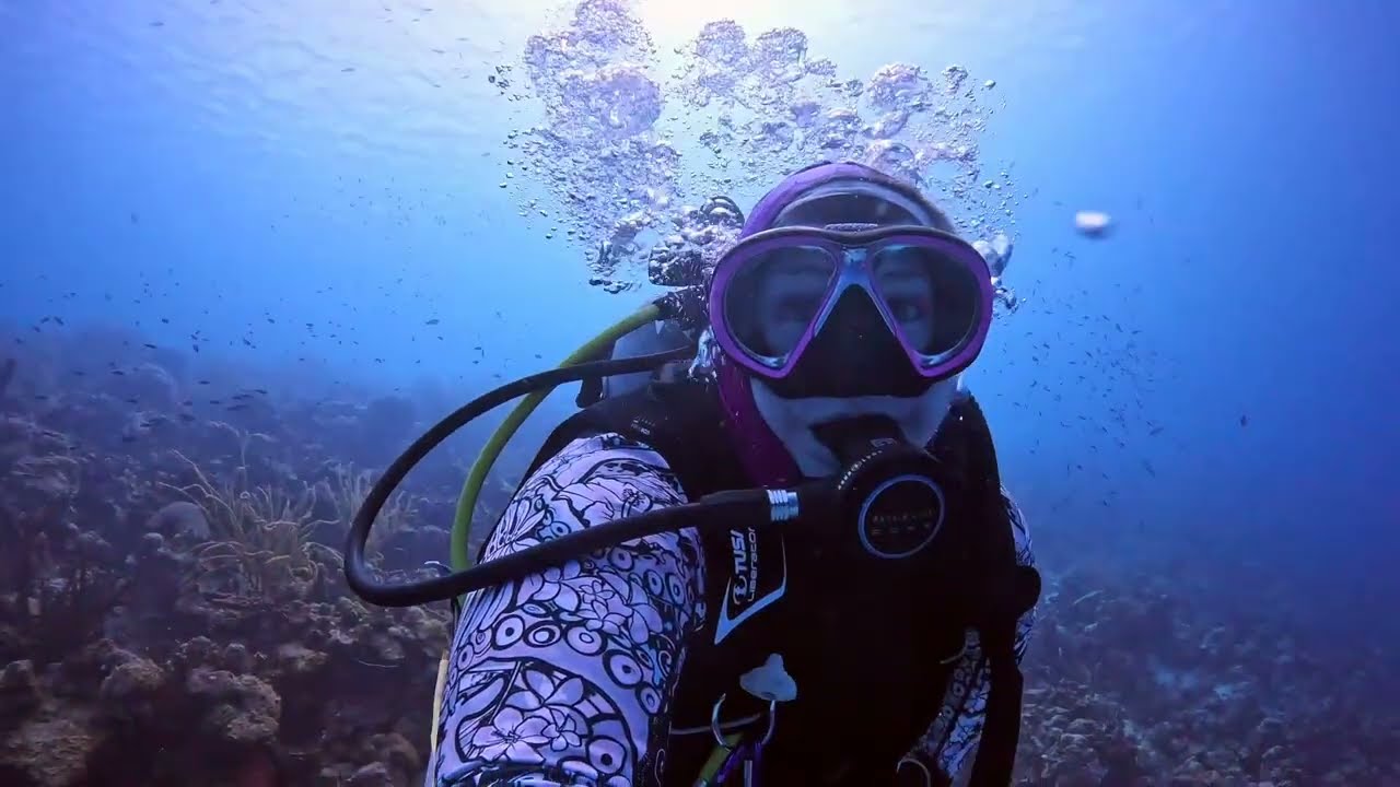 Off-Reef Diving in Bonaire | Seahorses, Honeycomb Cowfish & Rare Finds