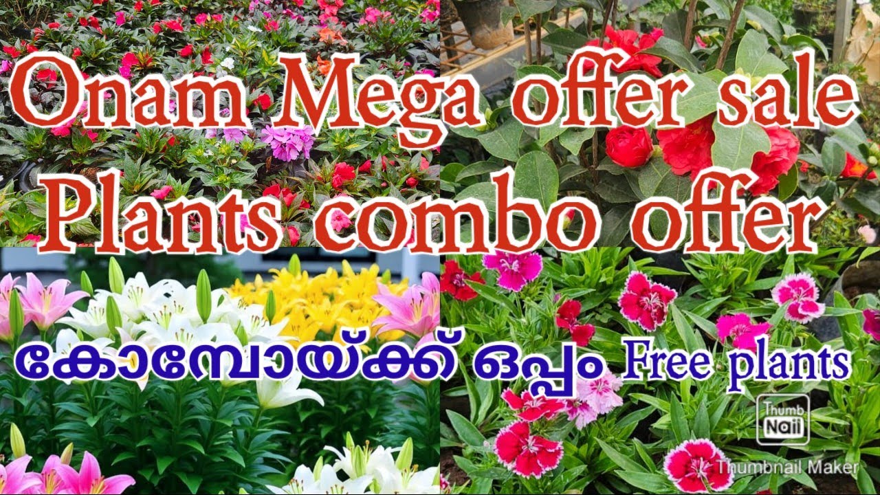 Onam mega offer sale 2025# plants combo offer# free plants# malayalam # new vedio #online