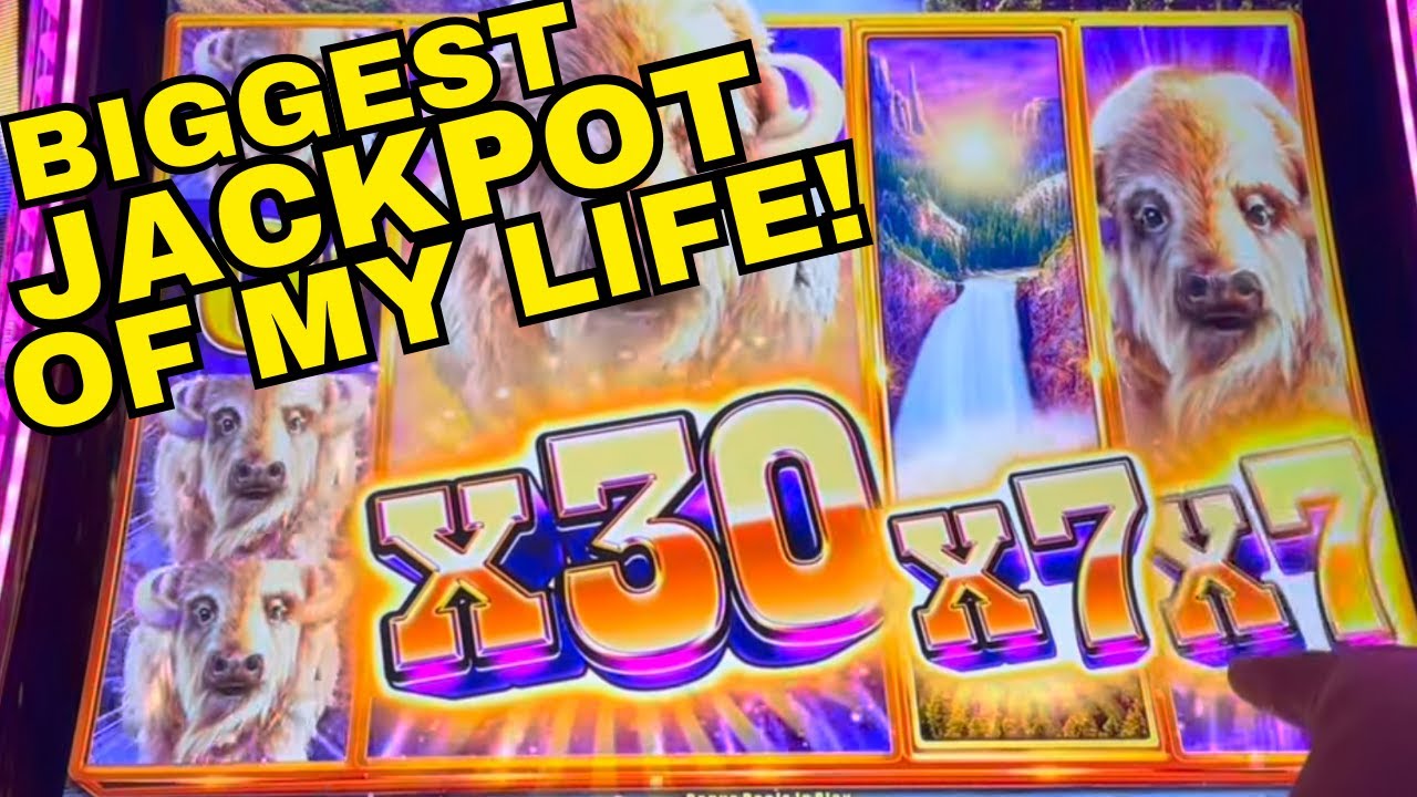OMG!!!! BIGGEST JACKPOT ON YOUTUBE ON BUFFALO CHIEF PLAT! UNBELIEVABLE!  MY BIGGEST JACKPOT EVER!
