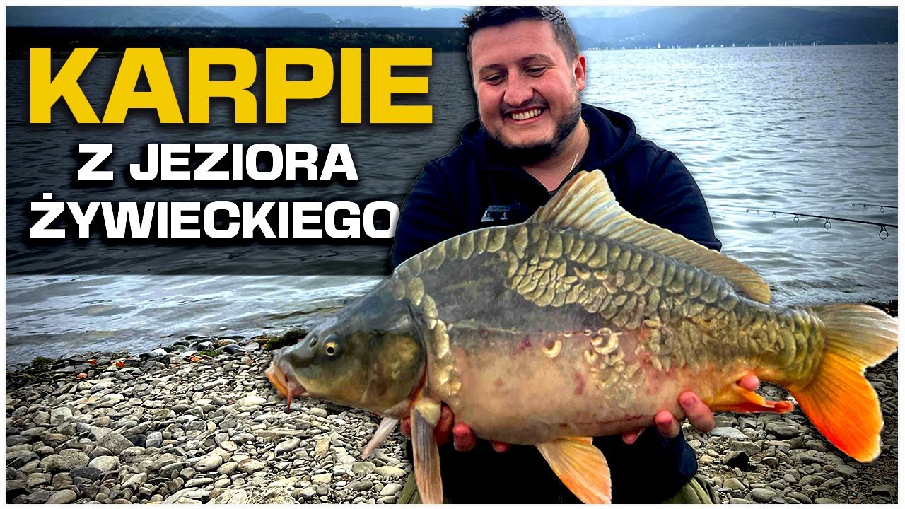 Jezioro Żywieckie – Zasiadka na wielkiej zaporówce