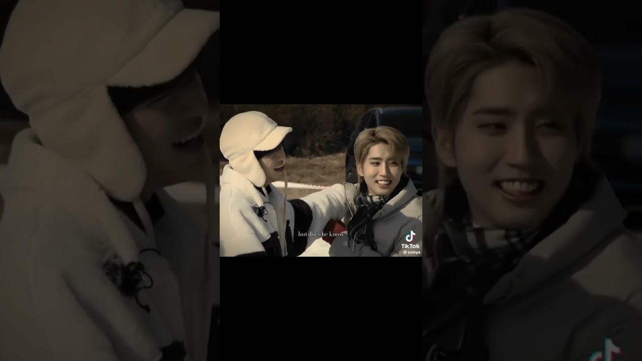 Stray kids Seungsung (Seungmin and Han) TikTok compilation(🌿)