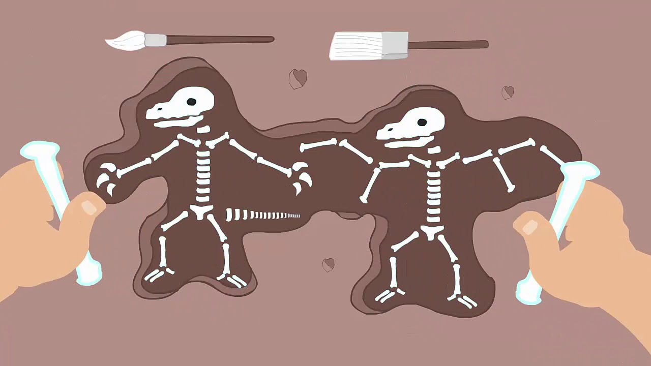 Fossils and Evidence for Evolution