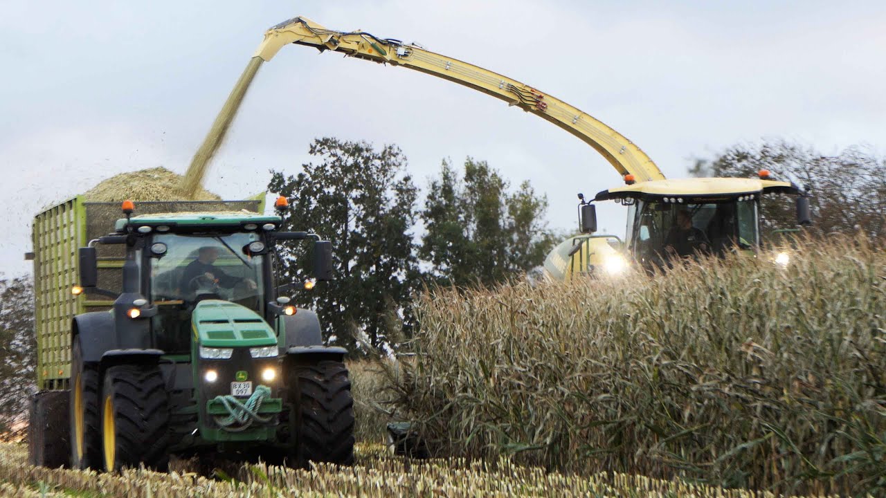 Mais Silage 2023 | Krone Big X 680 + John Deere Tractors