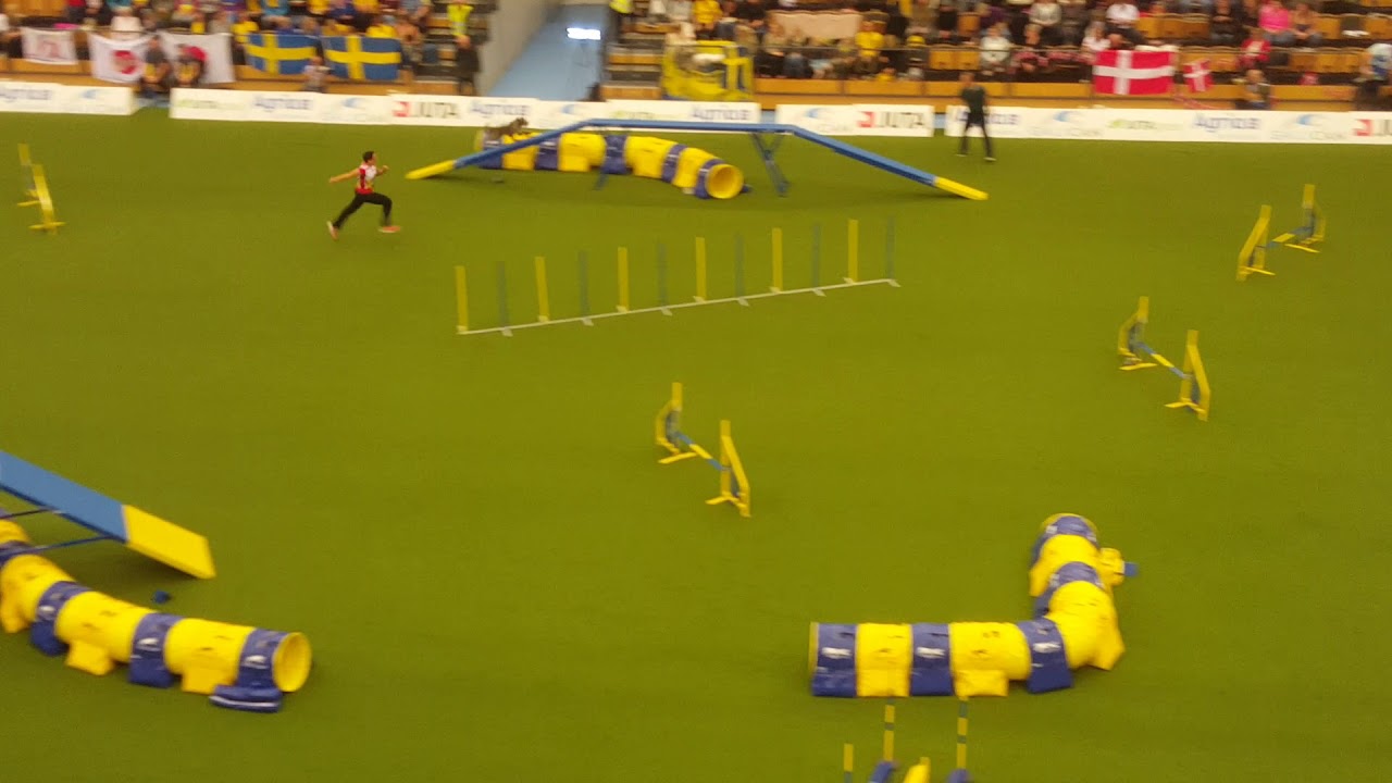 AUSTRIA TEAM Medium AGILITY AWC 2018