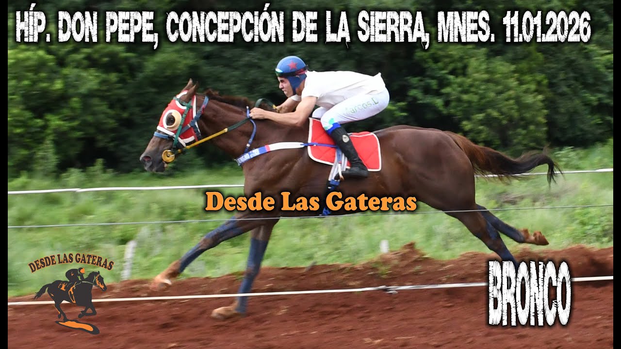 BRONCO - HIPICO 