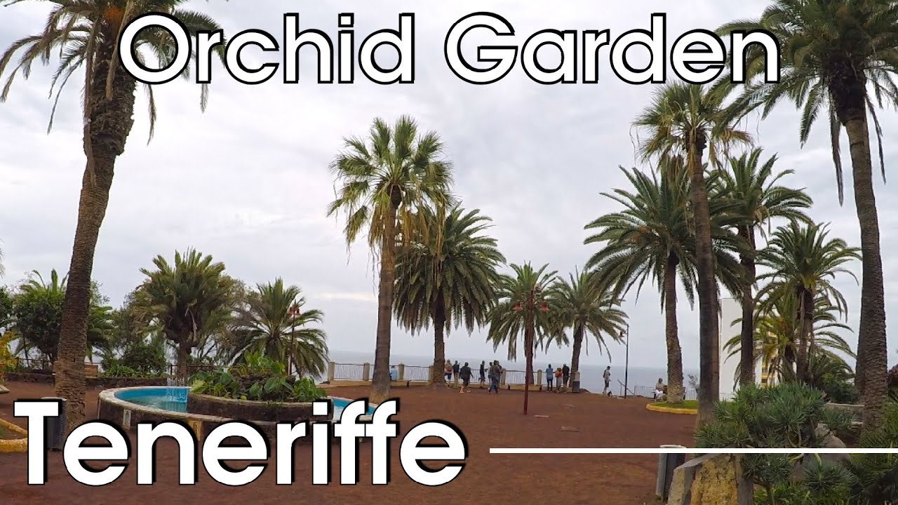 Puerto de La Cruz: Orchid Garden and Taoro Parque (Teneriffe)