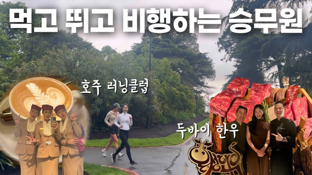 두바이 한우 오마카세, 호주에서 새벽 러닝하는 승무원 건강 라이프🏃‍♀️+ 쉬다 가는 베트남 하노이 💆‍♀️