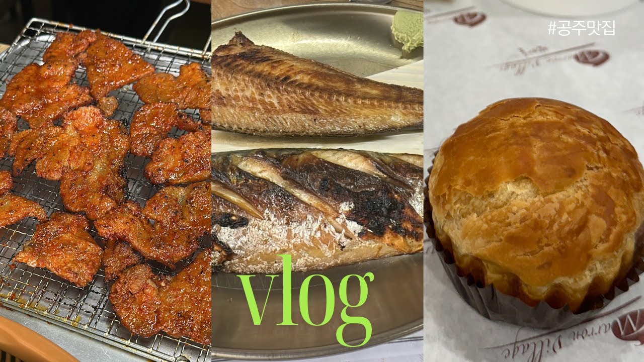 [vlog] 여행브이로그보다 맛집브이로그에 가까운 브이로그 | 공주 곰골식당 | 공주 밤파이 | 부자떡집 외 부여 롯데리조트 아쿠아가든