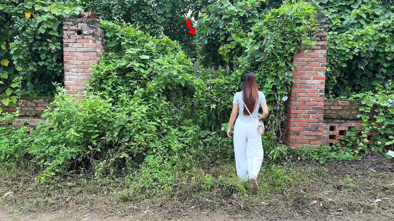 Girl Paid $16,000 for a 20 Year Old House Overgrown with Weeds &ndash; Unexpected Ending