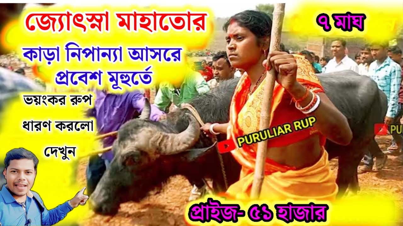 নিপান্যা আসরে জ্যোৎস্না মাহাতোর কাড়া প্রবেশ মূহুর্তে ভয়ংকর রুপ ধারণ করলো দেখুন।nipena_kara_lorai