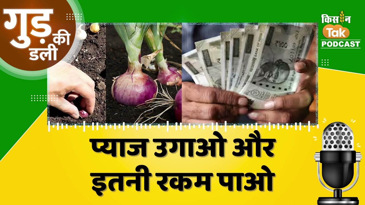 Podcast: Bihar के किसानों के लिए Good News, प्याज की खेती करने पर Government देगी पैसा #onionfarmer