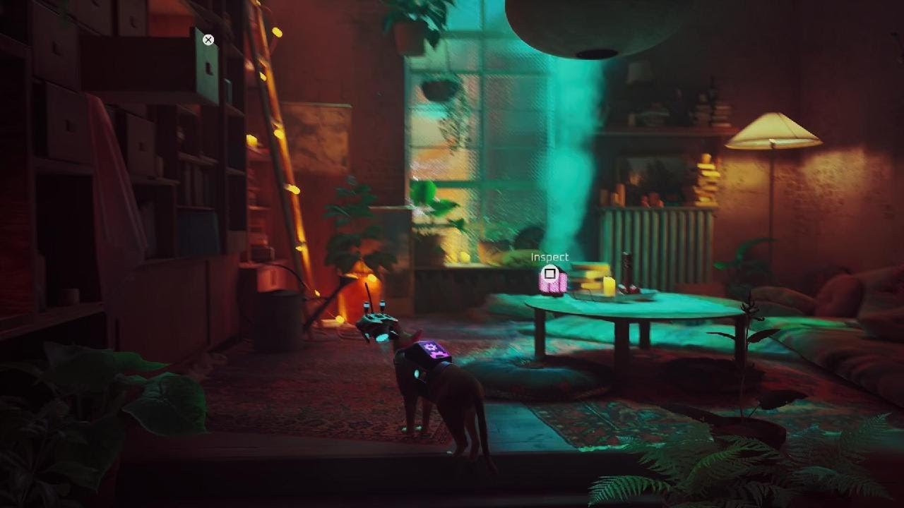 Stray Clementine 's Apartment all Four clues locations