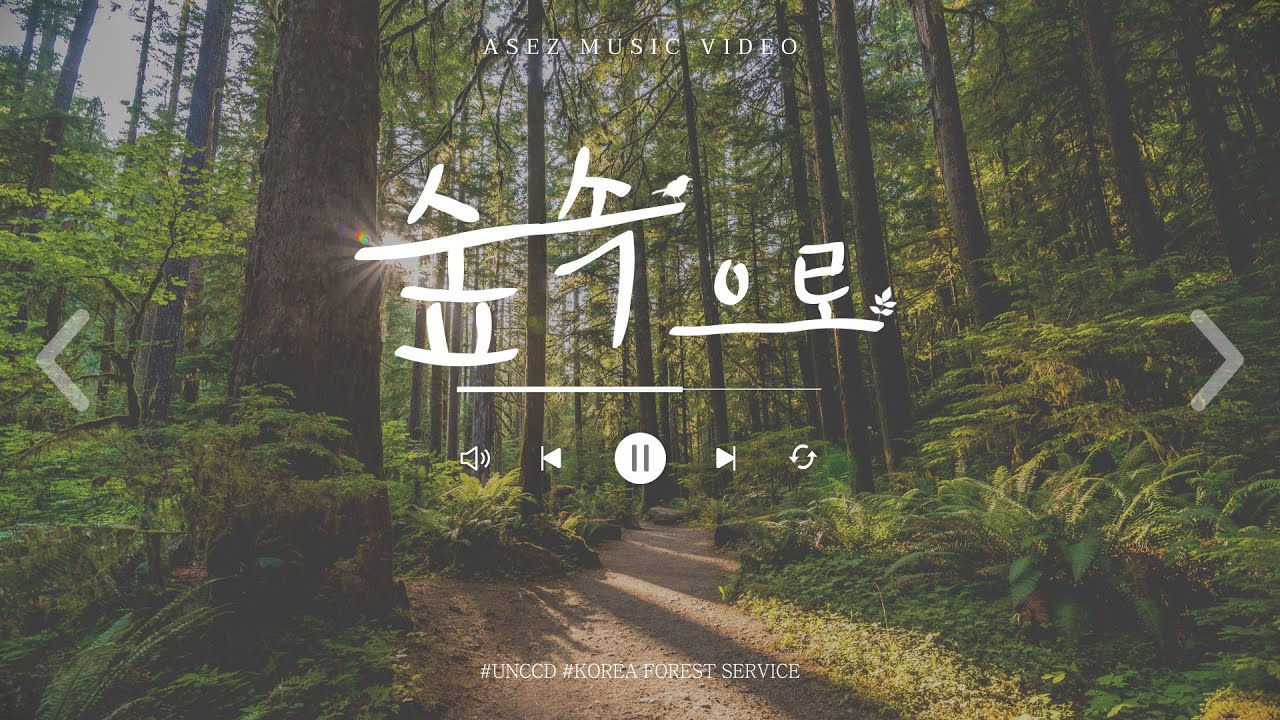 숲속으로