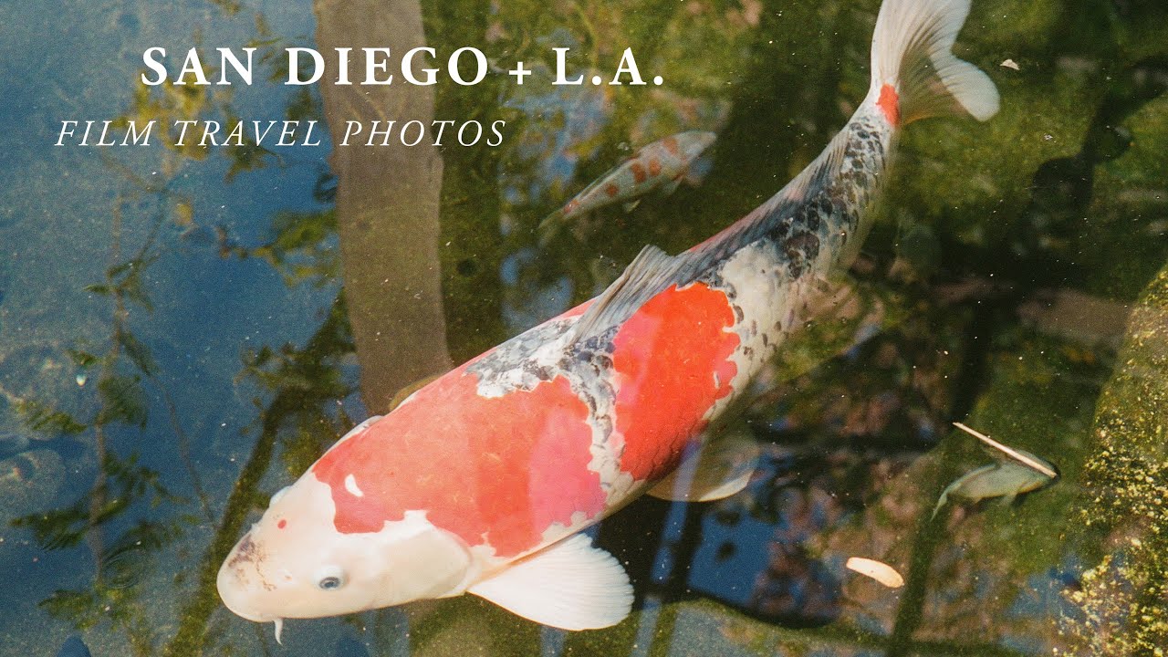 Film Travel Photography in San Diego + L.A.  | Fuji GA645, Fuji Klasse S, + Fuji GSW 690 iii