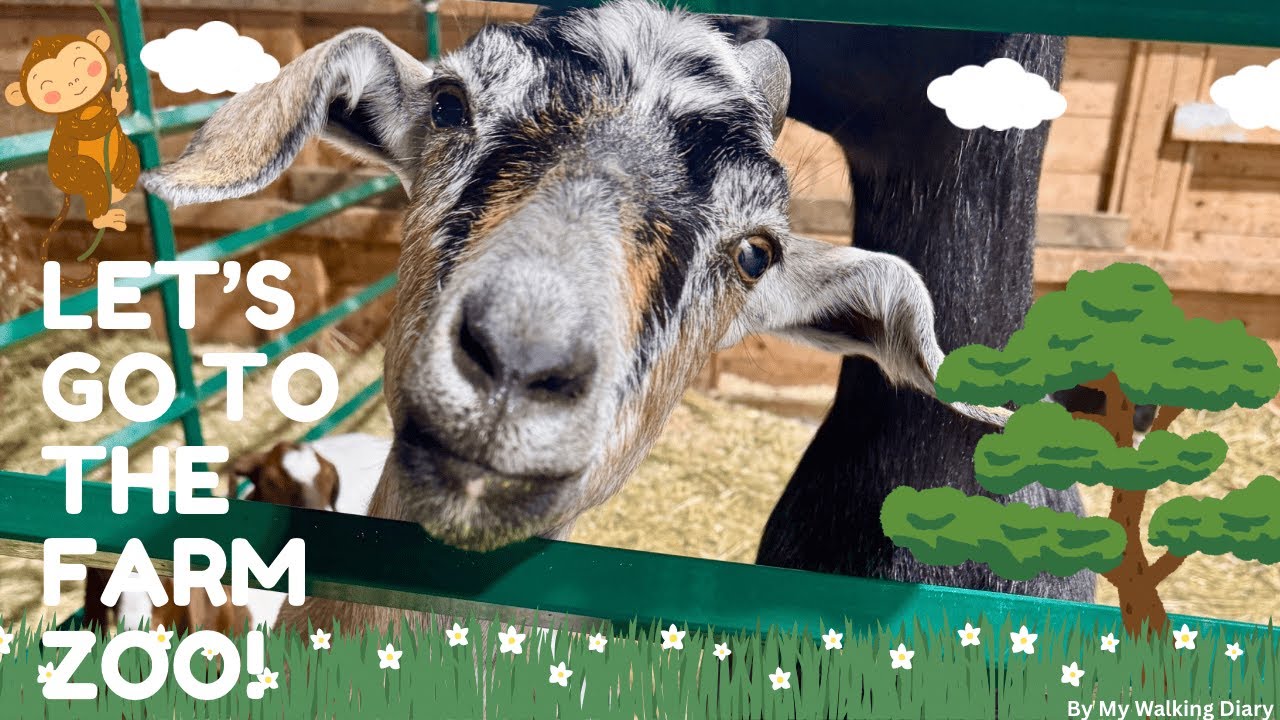 4K | Let’s Go to the Farm Zoo | Fun Animal Walk | Fredericton Capital Exhibit Centre